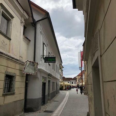 Apartma Linhartov Trg Radovljica Extérieur photo