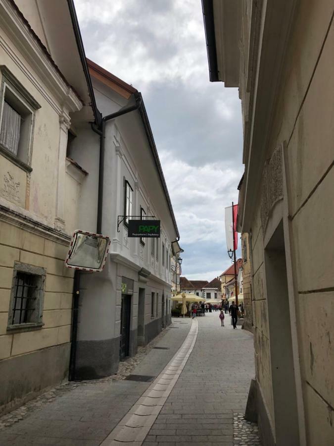 Apartma Linhartov Trg Radovljica Extérieur photo